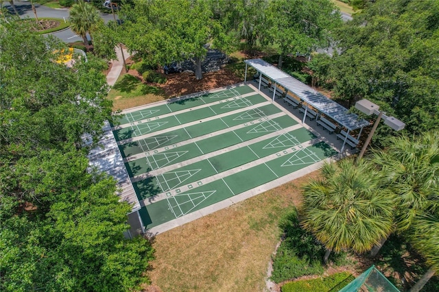 bird's eye view