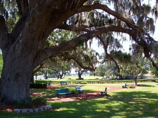 view of community with a yard