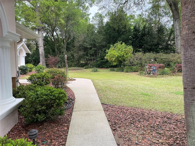 view of yard