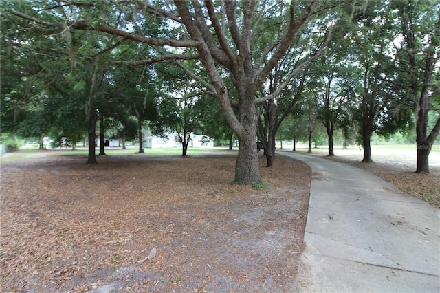 view of home's community with driveway