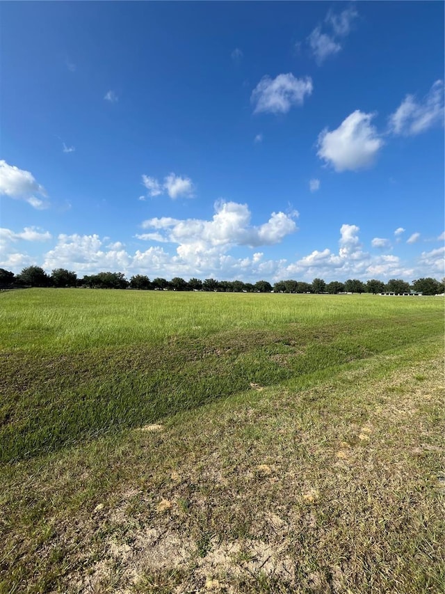 TBD 54 Loop, Ocala, FL 34482