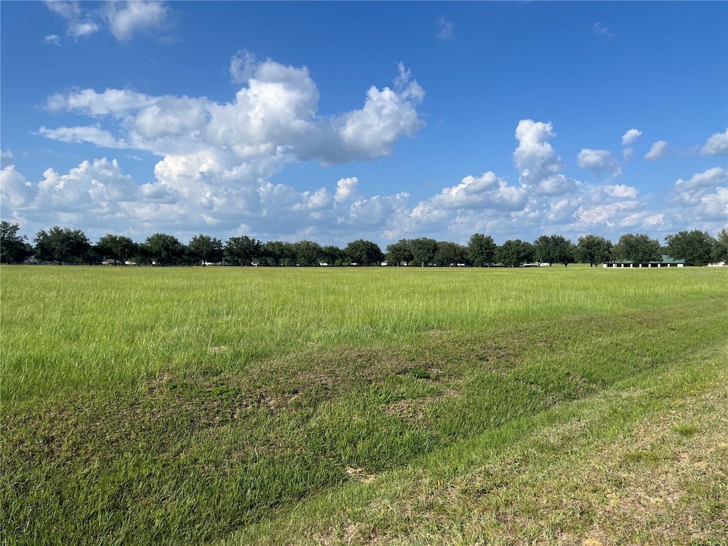 TBD 54 Loop, Ocala, FL 34482