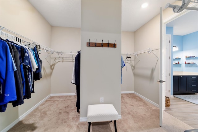 10445 SW 90th Street Rd, Ocala, FL 34481 - spacious closet with light colored carpet