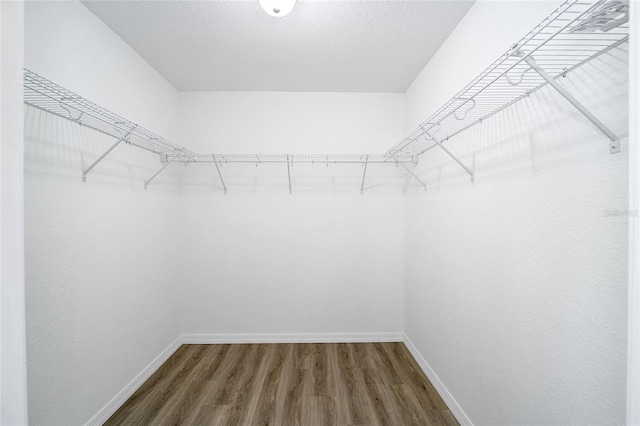 walk in closet with wood finished floors