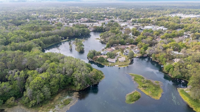 12180 Maple St, Dunnellon, FL 34432 - aerial view of property's location featuring a large body of water and a heavily wooded area
