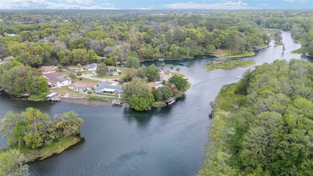 12180 Maple St, Dunnellon, FL 34432 - view of property location featuring a nearby body of water and a heavily wooded area