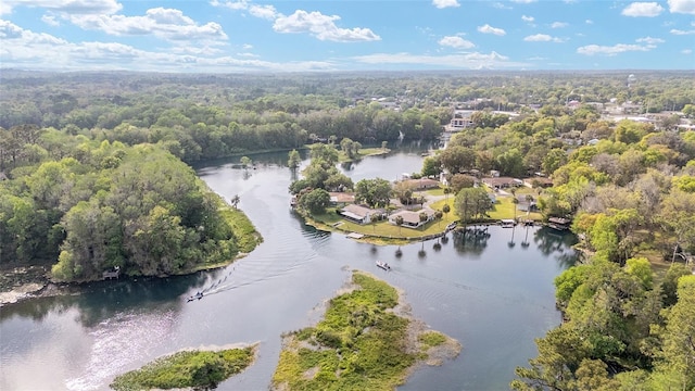 12180 Maple St, Dunnellon, FL 34432 - bird's eye view of a large body of water and a forest