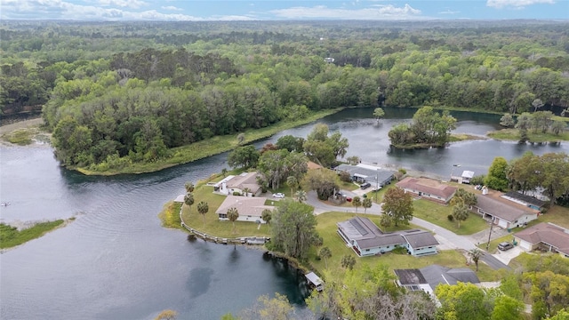 12180 Maple St, Dunnellon, FL 34432 - view of property location featuring a heavily wooded area and a large body of water