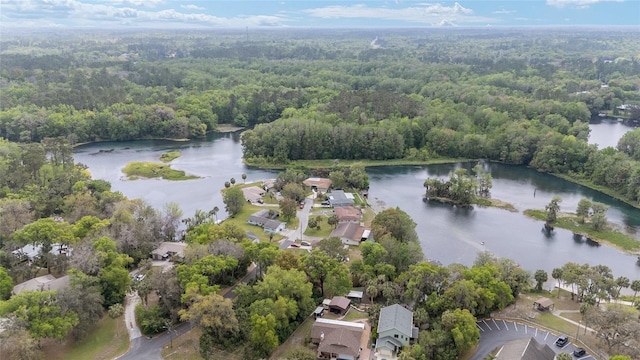 12180 Maple St, Dunnellon, FL 34432 - bird's eye view of a large body of water