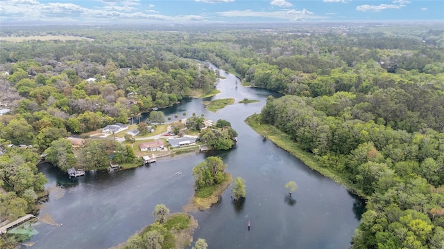 12180 Maple St, Dunnellon, FL 34432 - aerial view of property's location featuring a forest and a nearby body of water
