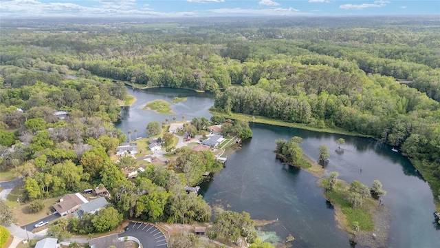 12180 Maple St, Dunnellon, FL 34432 - aerial view of property's location with a forest and a large body of water
