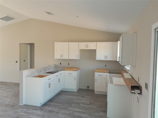 2 Malauka Loop Ln, Ocklawaha, FL 32179 - kitchen with lofted ceiling, light wood-type flooring, white cabinetry, and a peninsula