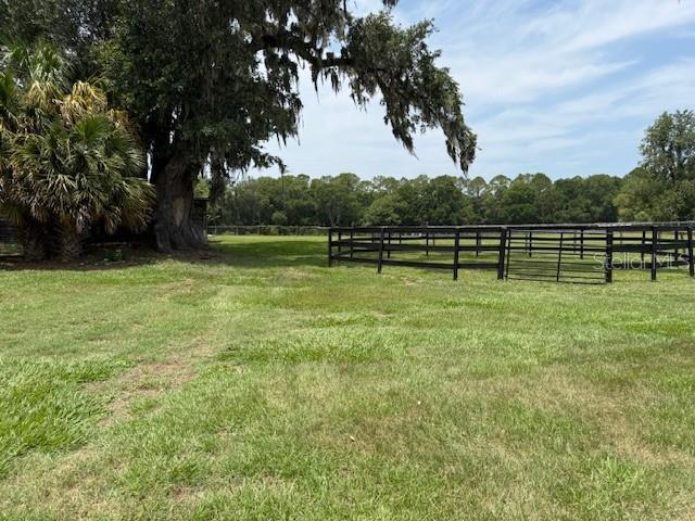 6020 NW 2nd Ave, Ocala, FL 34475 - view of yard