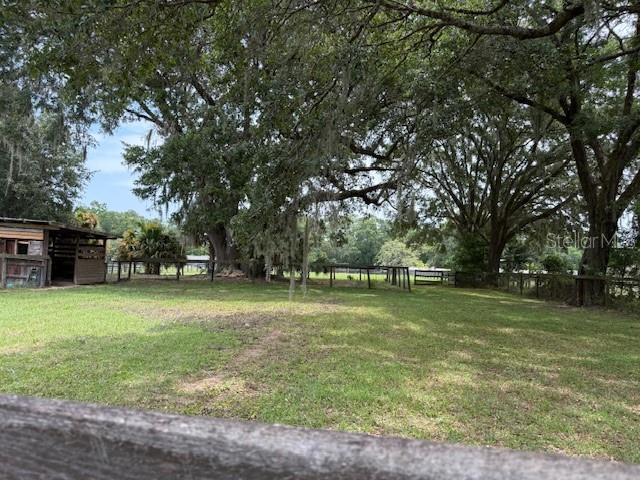 6020 NW 2nd Ave, Ocala, FL 34475 - view of yard