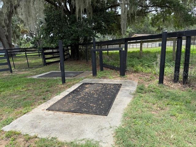 6020 NW 2nd Ave, Ocala, FL 34475 - view of yard