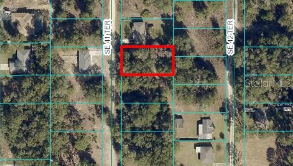 SE 41st Ter, Summerfield, FL 34491