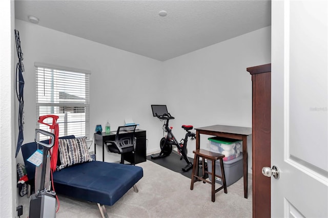 9312 SW 58th Cir, Ocala, FL 34476 - office area featuring carpet and a textured ceiling