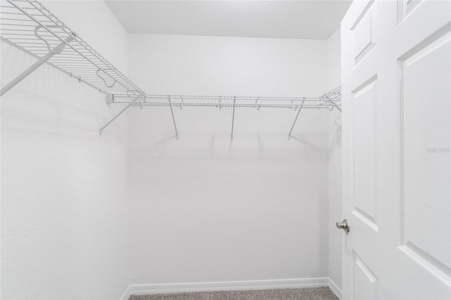 walk in closet with carpet