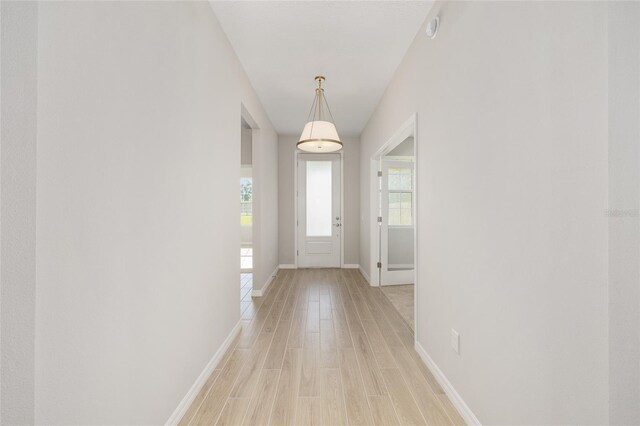 4810 NW 11th Ct, Ocala, FL 34475 - photo 16
