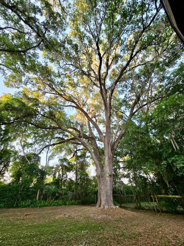6549 NW 65th Pl, Ocala, FL 34482 - view of yard