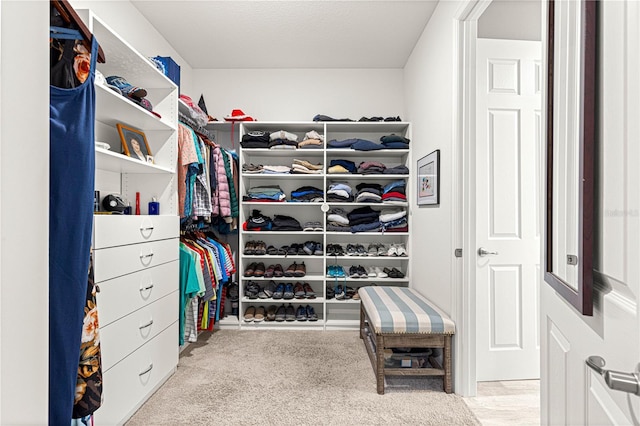 9342 SW 102nd Terrace Rd, Ocala, FL 34481 - walk in closet with carpet