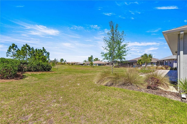 9342 SW 102nd Terrace Rd, Ocala, FL 34481 - view of yard