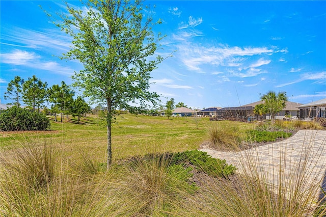 9342 SW 102nd Terrace Rd, Ocala, FL 34481 - view of yard