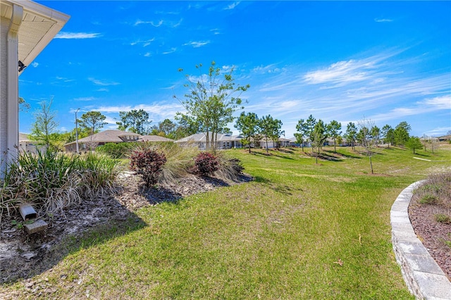9342 SW 102nd Terrace Rd, Ocala, FL 34481 - view of yard