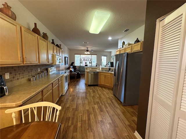 9053 SW 103rd Ave, Ocala, FL 34481 - kitchen featuring stainless steel appliances, a sink, dark wood finished floors, light brown cabinets, and a textured ceiling