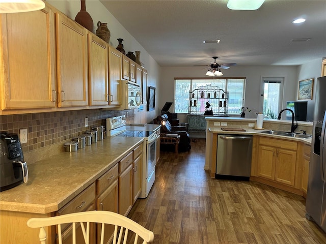 9053 SW 103rd Ave, Ocala, FL 34481 - kitchen featuring stainless steel appliances, a sink, dark wood-style flooring, a ceiling fan, and decorative backsplash