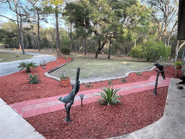 4540 W Sandy Hill St, Lecanto, FL 34461 - view of yard