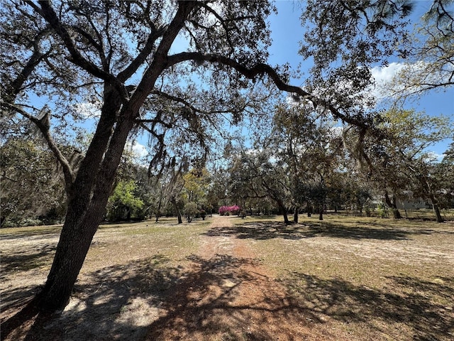 4540 W Sandy Hill St, Lecanto, FL 34461 - view of yard