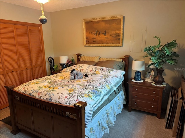4540 W Sandy Hill St, Lecanto, FL 34461 - bedroom featuring a closet and carpet flooring