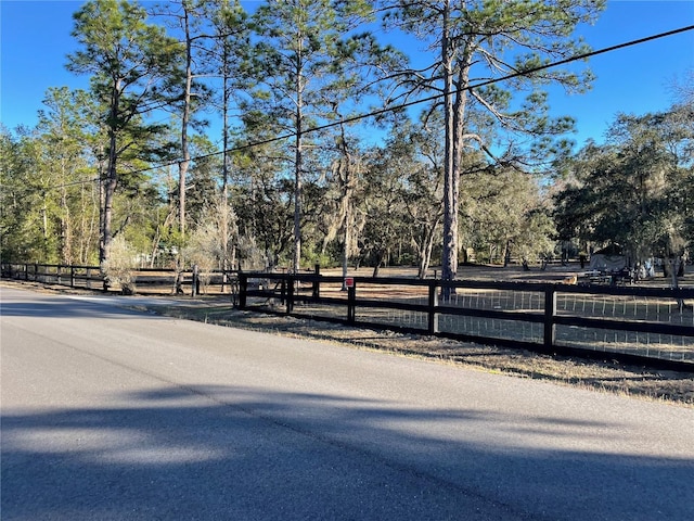 4540 W Sandy Hill St, Lecanto, FL 34461 - view of yard