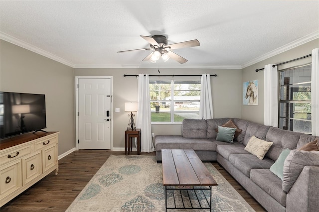 6830 NW 62nd Pl, Ocala, FL 34482 - living room featuring crown molding, a textured ceiling, dark wood finished floors, baseboards, and ceiling fan