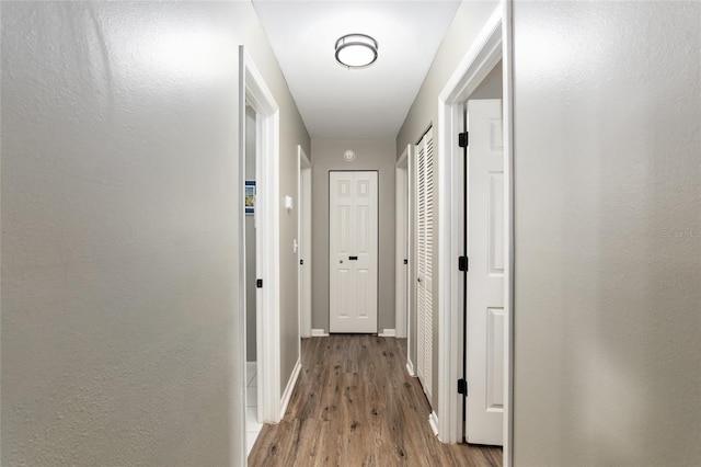 6830 NW 62nd Pl, Ocala, FL 34482 - hall with baseboards and wood finished floors