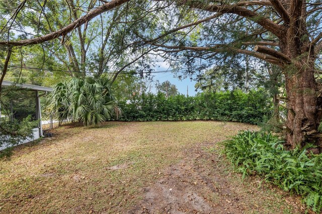 6830 NW 62nd Pl, Ocala, FL 34482 - view of yard