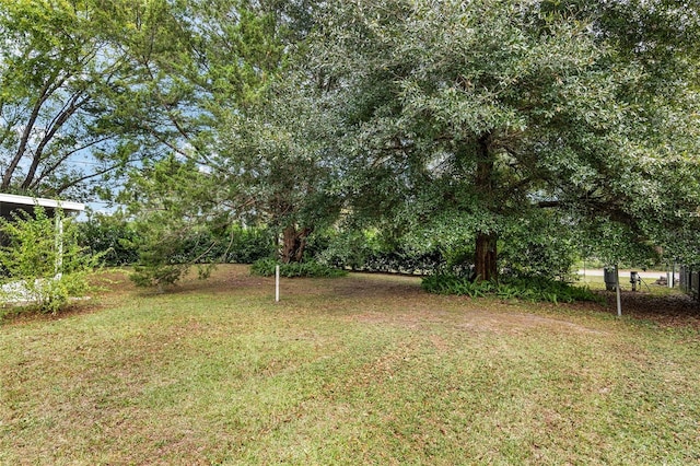 6830 NW 62nd Pl, Ocala, FL 34482 - view of yard