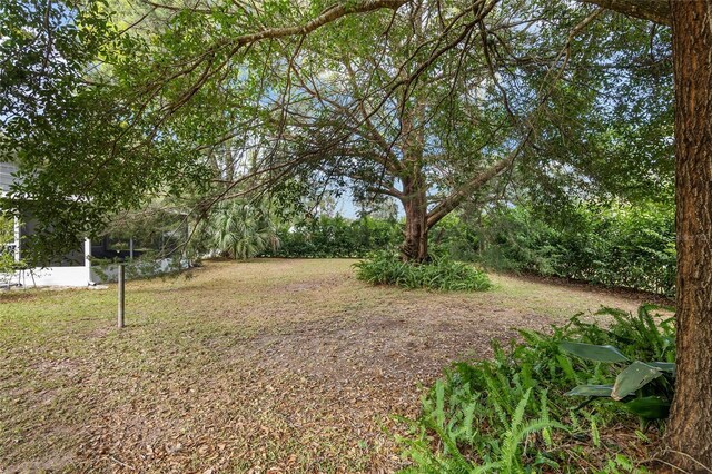 6830 NW 62nd Pl, Ocala, FL 34482 - view of yard