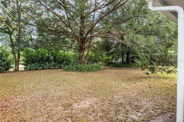 6830 NW 62nd Pl, Ocala, FL 34482 - view of yard