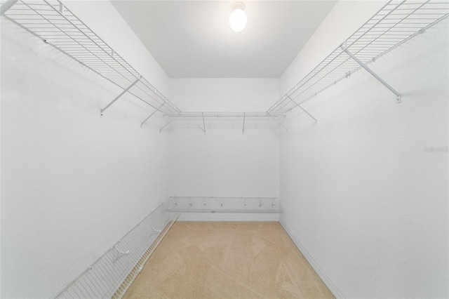 spacious closet featuring light colored carpet