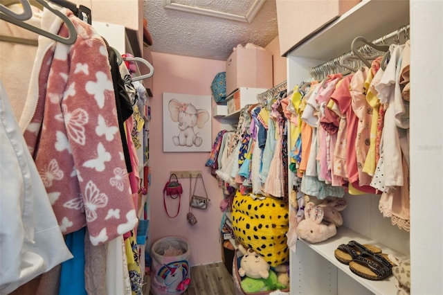 walk in closet with attic access and wood finished floors