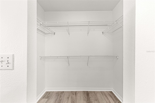 walk in closet featuring wood finished floors