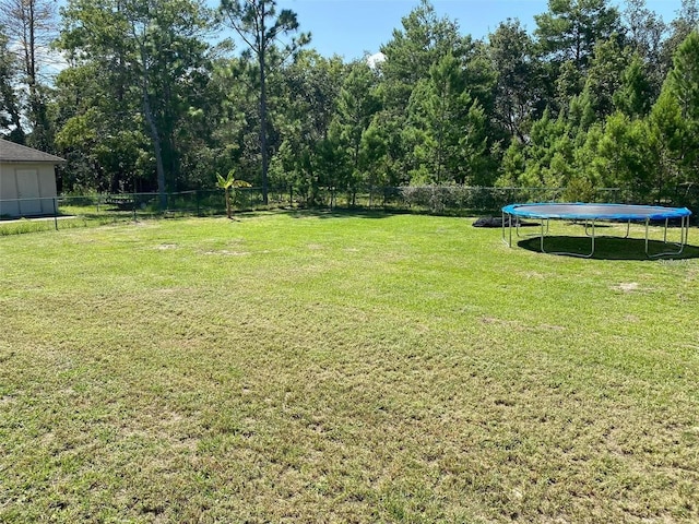 5323 SW 111th Lane Rd, Ocala, FL 34476 - view of yard with a trampoline