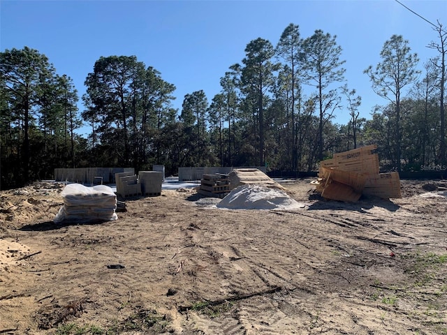 6254 W Deadwood Ln, Beverly Hills, FL 34465 - view of yard