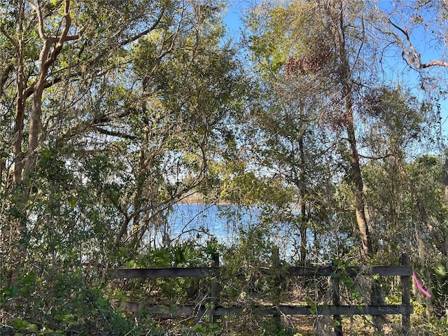 5 Malauka Radial Trak, Ocklawaha, FL 32179 - view of water feature with fence