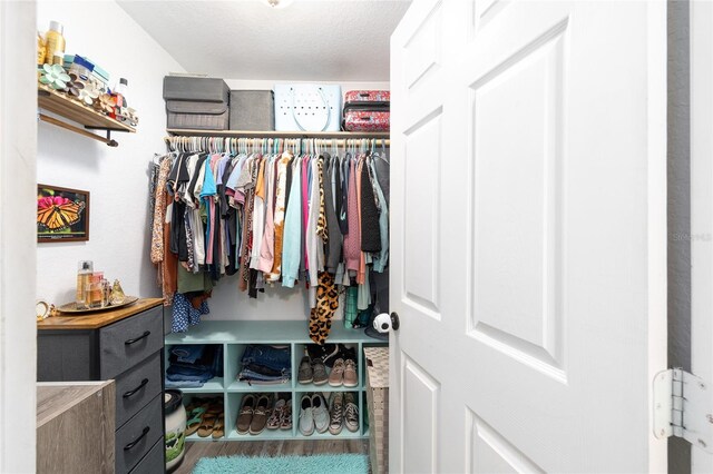 5855 SE 158th Ct, Ocklawaha, FL 32179 - view of walk in closet