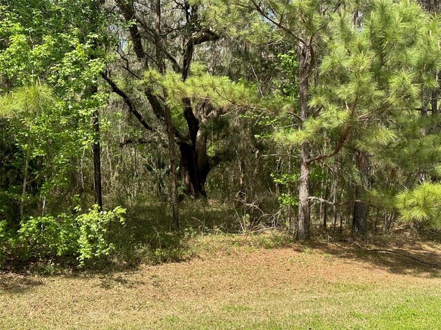 015 SW 144th Court Rd, Ocala, FL 34481