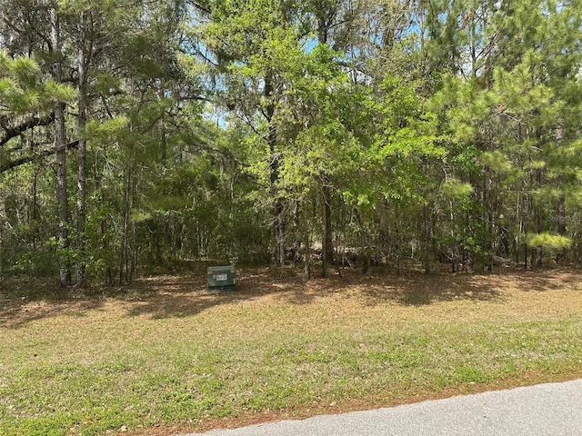 015 SW 144th Court Rd, Ocala, FL 34481