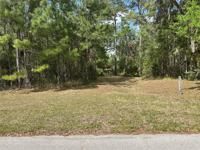 015 SW 144th Court Rd, Ocala, FL 34481